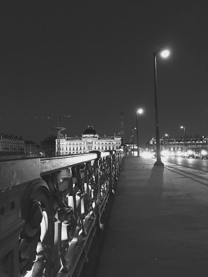 Mon Appart A Villon-Monplaisir Lyon Exteriör bild